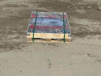 APPROX. (10) 2026 CHERY 20' CHAINS W/APPROX. (5) 9,200# RATCHET BINDERS