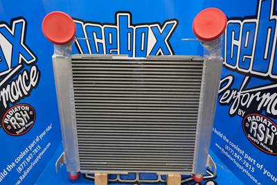   Charge Air Cooler ( F3161666101021)