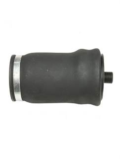 Kenworth W900 Air Bag