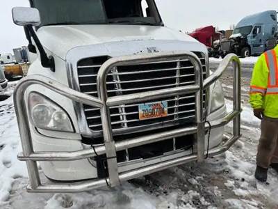 Freightliner Cascadia 125 Bumper Guard