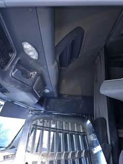 Freightliner Cascadia 125 Cab Assembly