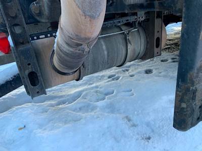 International ProStar DPF Filter