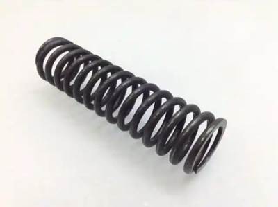 Eaton DS402 Differential Spring