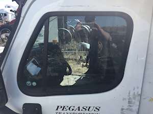 Freightliner Cascadia Door Window