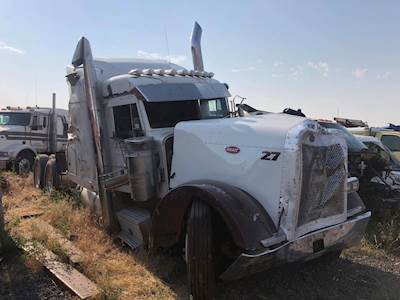 Peterbilt 379 Door Window