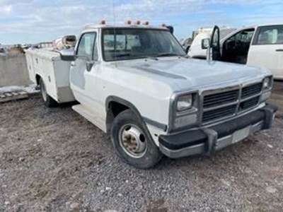Dodge D350 Right Door for a 1991 Dodge D350 Pickup