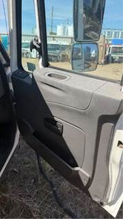 International TerraStar Right Door