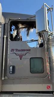 Kenworth W900 Right Door