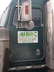 Peterbilt 379 Left Door