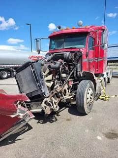 Peterbilt 386 Left Door