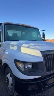 International TerraStar Hood