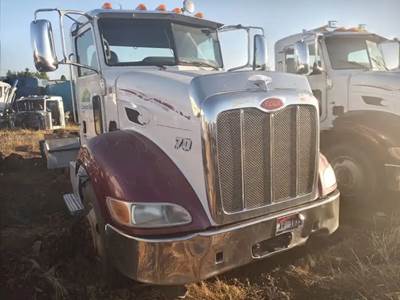 Peterbilt 384 Hood