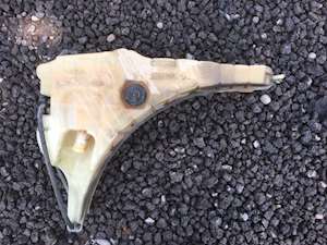 Freightliner Cascadia Radiator Overflow Bottle / Surge Tank