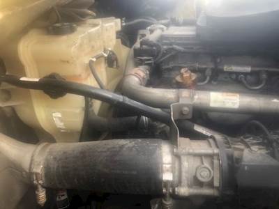 Freightliner Cascadia 125 Radiator Overflow Bottle / Surge Tank