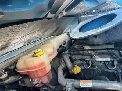 Freightliner Cascadia 126 Radiator