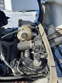 Freightliner Cascadia 126 Radiator