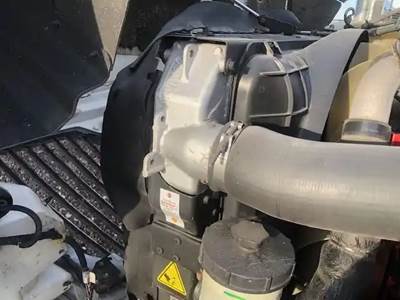 International ProStar Radiator