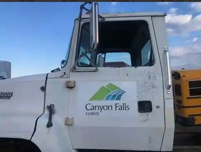 Ford LN8000 Side View Mirror