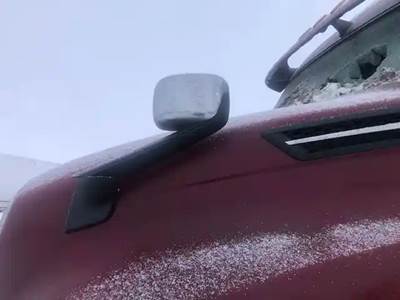 Freightliner Cascadia 126 Left Side View Mirror