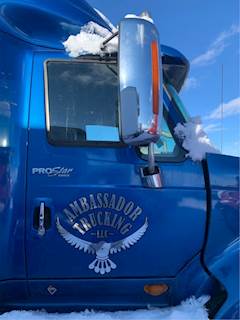 International ProStar Right Side View Mirror