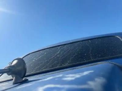 Kenworth W900 Sleeper Part