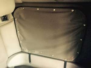 Peterbilt 387 Sleeper Part