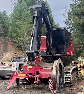 Plantation Grown Timbers ミラー Plantation Grown Timbers ミラー