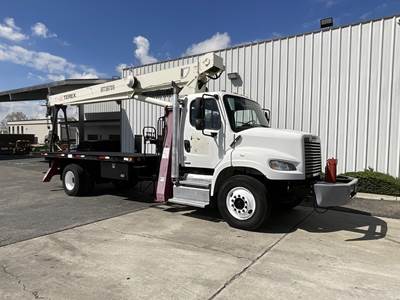 Terex BT3870-S Telescopic Boom Truck Crane