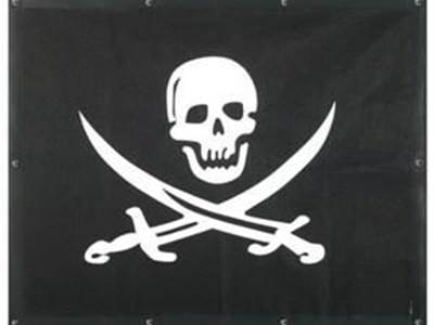 Freightliner Century Class Pirate Skull Bug Screen 2043F-PIRATE. Mounting