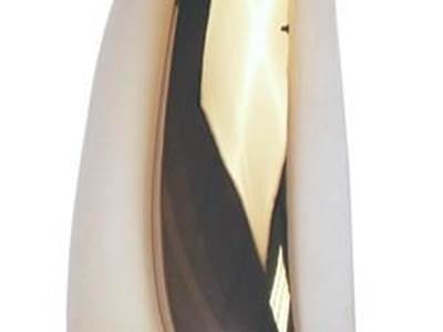 New RH Side Chrome Mirror Cover For Kenworth T2000, T700 & PETERBILT387