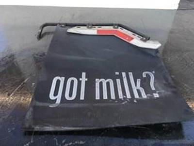 Used Good Mudflap With Hanger