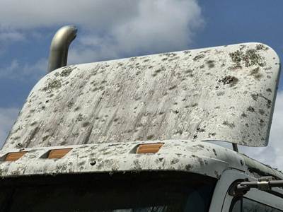 WIND DEFLECTOR OFF 2007 FREIGHTLINER CL120