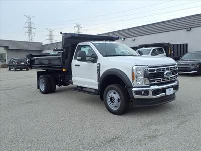 Ford F-550 XL Single Axle Dump Truck - Automatic, 11' Dump