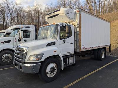 Hino 268 Refrigerated Truck - 220HP, 6 Speed Automatic, Thermo King