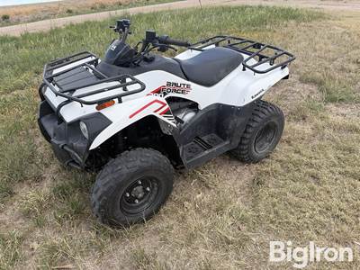 2021 Kawasaki 300 Brute Force ATV