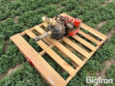 Homelite AP215 Transfer Pump