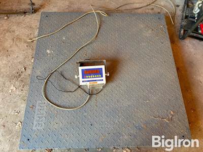 ULINE 5000 Lb Platform scale & Monitor