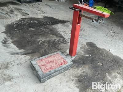 Platform Scale