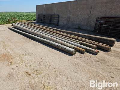 Telephone Poles