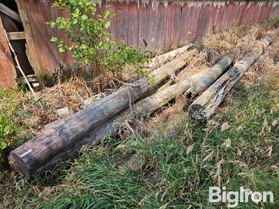 Wood Poles