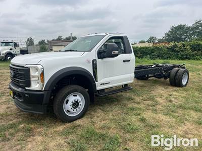 2024 Ford F550 Super Duty XL 4X4 Regular Cab & Chassis