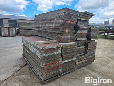 Used 8' x 2' Concrete Wall Forms, Steel Frame Wood Face