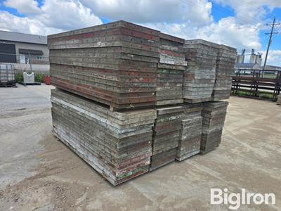 8' x 2' Concrete Wall Forms, Steel Frame, Wood Face