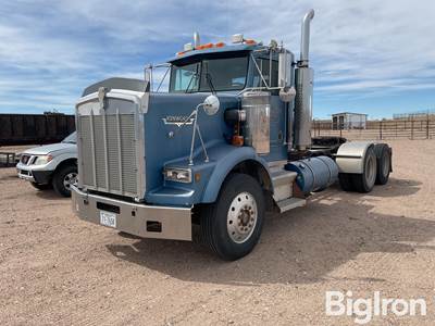 1993 Kenworth T800B Daycab T/A Truck Tractor