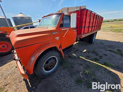 1967 Chevrolet 50 S/A Grain Truck