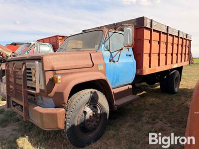 1974 Chevrolet C60 S/A Grain Truck