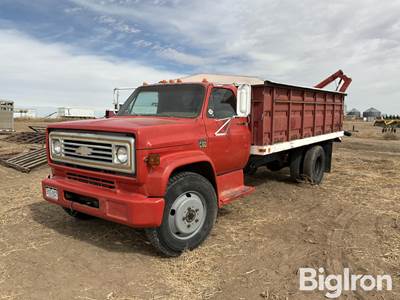 1973 Chevrolet C60 S/A Grain Truck w/ Westfield Seed Tender Auger