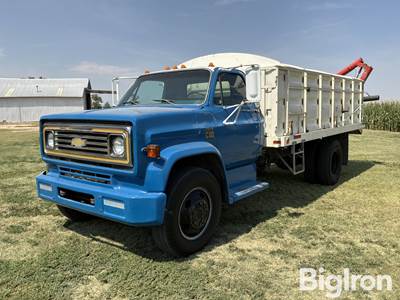 1974 Chevrolet C60 S/A Grain Truck w/Drill Fill Auger