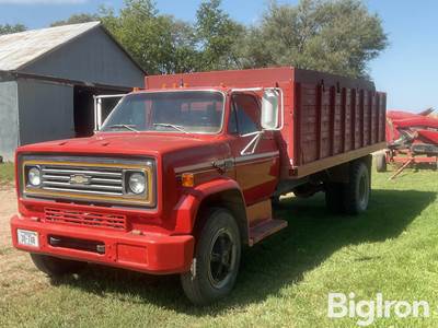 1974 Chevrolet C65 S/A Grain Truck