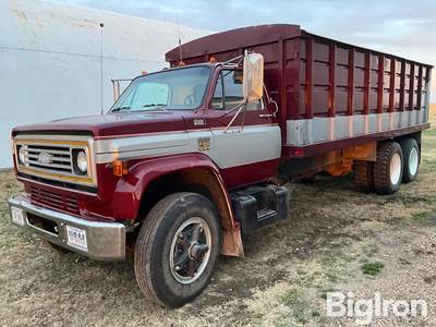 1976 Chevrolet C65 Custom Deluxe T/A Grain Truck